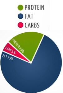 keto-macros